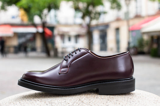 12841 Cordovan Color