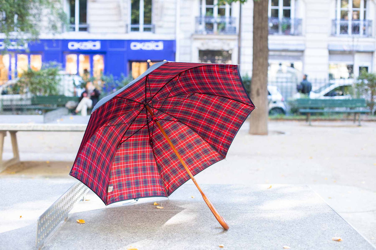 Parapluie